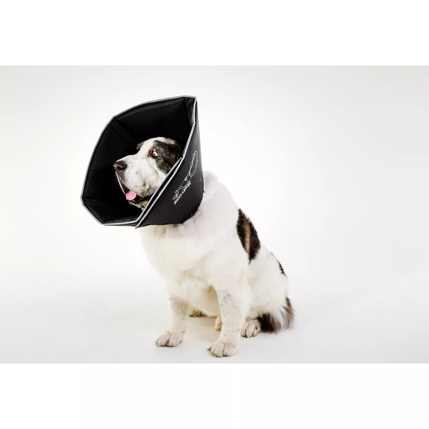 All Four Paws Black Comfy Cone Dog E Collar