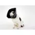 All Four Paws Black Comfy Cone Dog E-Collar image thumbnail 1