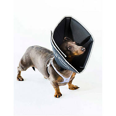 Adjustable Recovery Cat Cone,Comfortable E-Collar Soft Cones for Cats and Puppies Very Cute and Convenient to Diet and Play Upgraded 