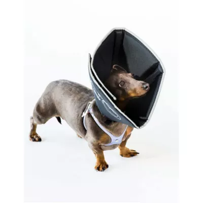 Product All Four Paws Black Comfy Cone Dog E-Collar