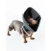 All Four Paws Black Comfy Cone Dog E-Collar image thumbnail 1