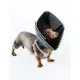 Product All Four Paws Black Comfy Cone Dog E-Collar
