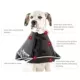 Product All Four Paws Black Comfy Cone Dog E-Collar