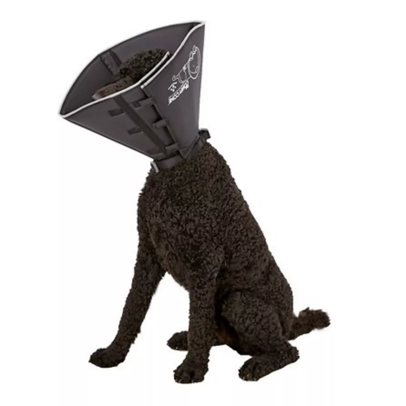 All four paws comfy cone dog collar best sale