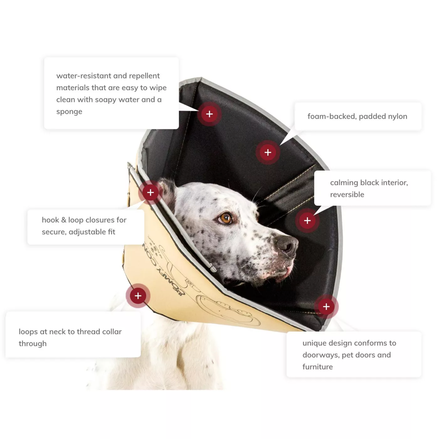 Dog cone collar pets at fashion home