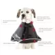 Product All Four Paws Black Comfy Cone Dog E-Collar