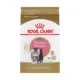 Product Royal Canin® Feline Breed Nutrition Persian Breed Kitten Dry Cat Food