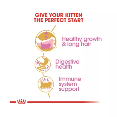 Product Royal Canin® Feline Breed Nutrition Persian Breed Kitten Dry Cat Food