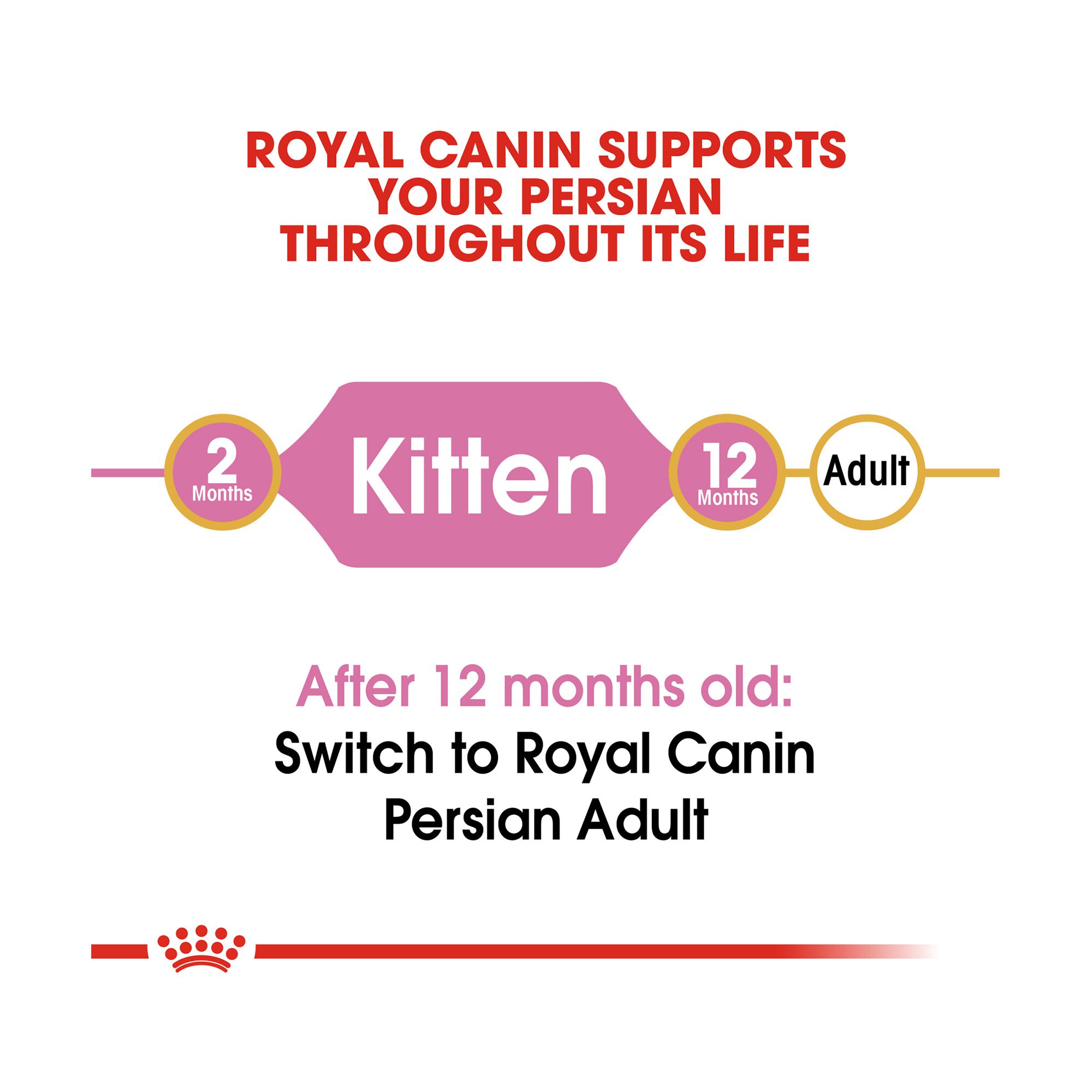 royal canin kitten persian 400g