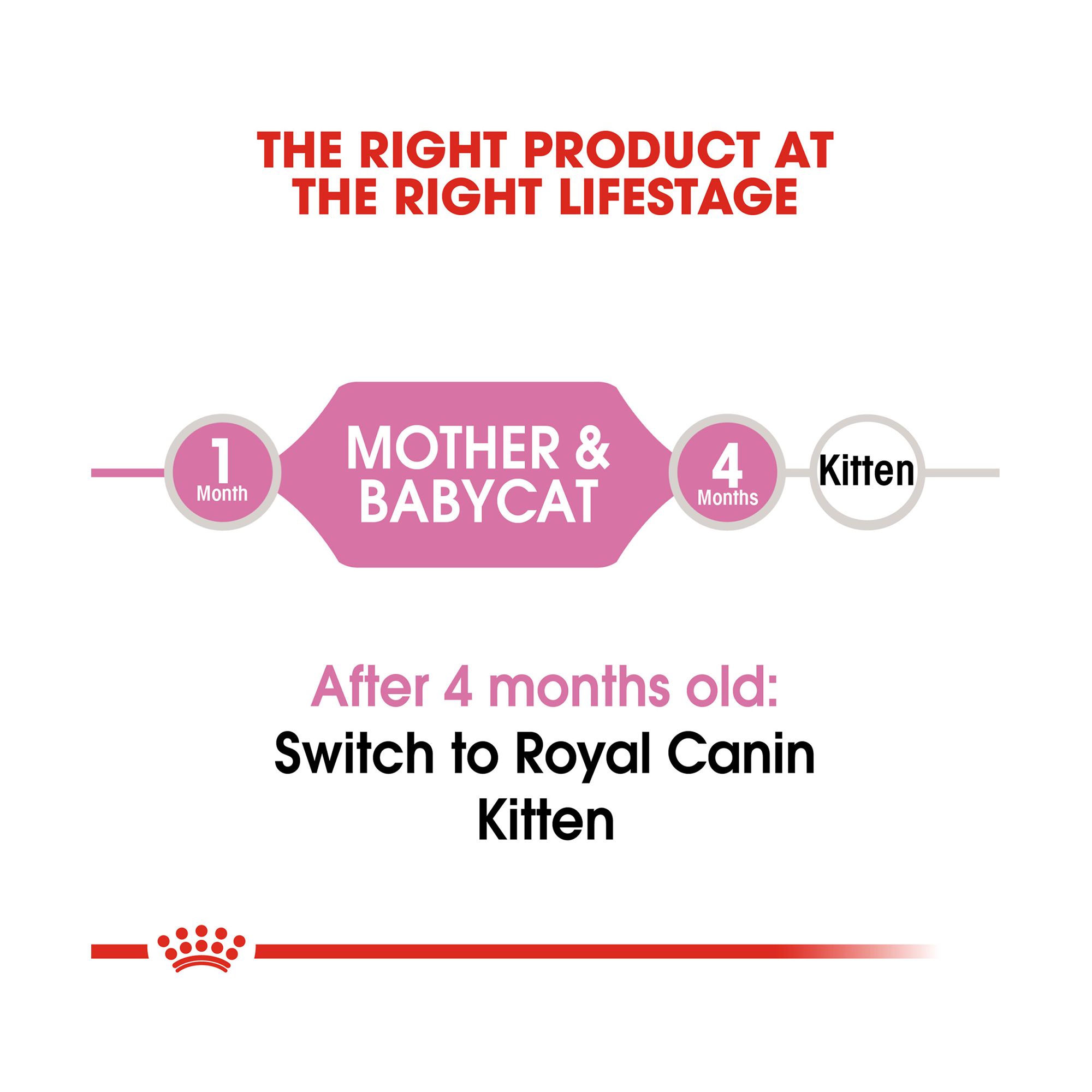 royal canin mother and baby dry cat food