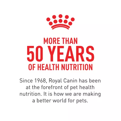 Product Royal Canin® Feline Health Nutrition Young Kitten Dry Cat Food