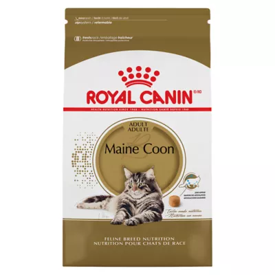 Product Royal Canin® Feline Breed Nutrition Maine Coon Breed Adult Dry Cat Food