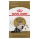 Product Royal Canin® Feline Breed Nutrition Persian Breed Adult Dry Cat Food