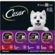 Product Cesar® Classics Adult Wet Dog Food - Loaf, 24 Count, Variety Pack