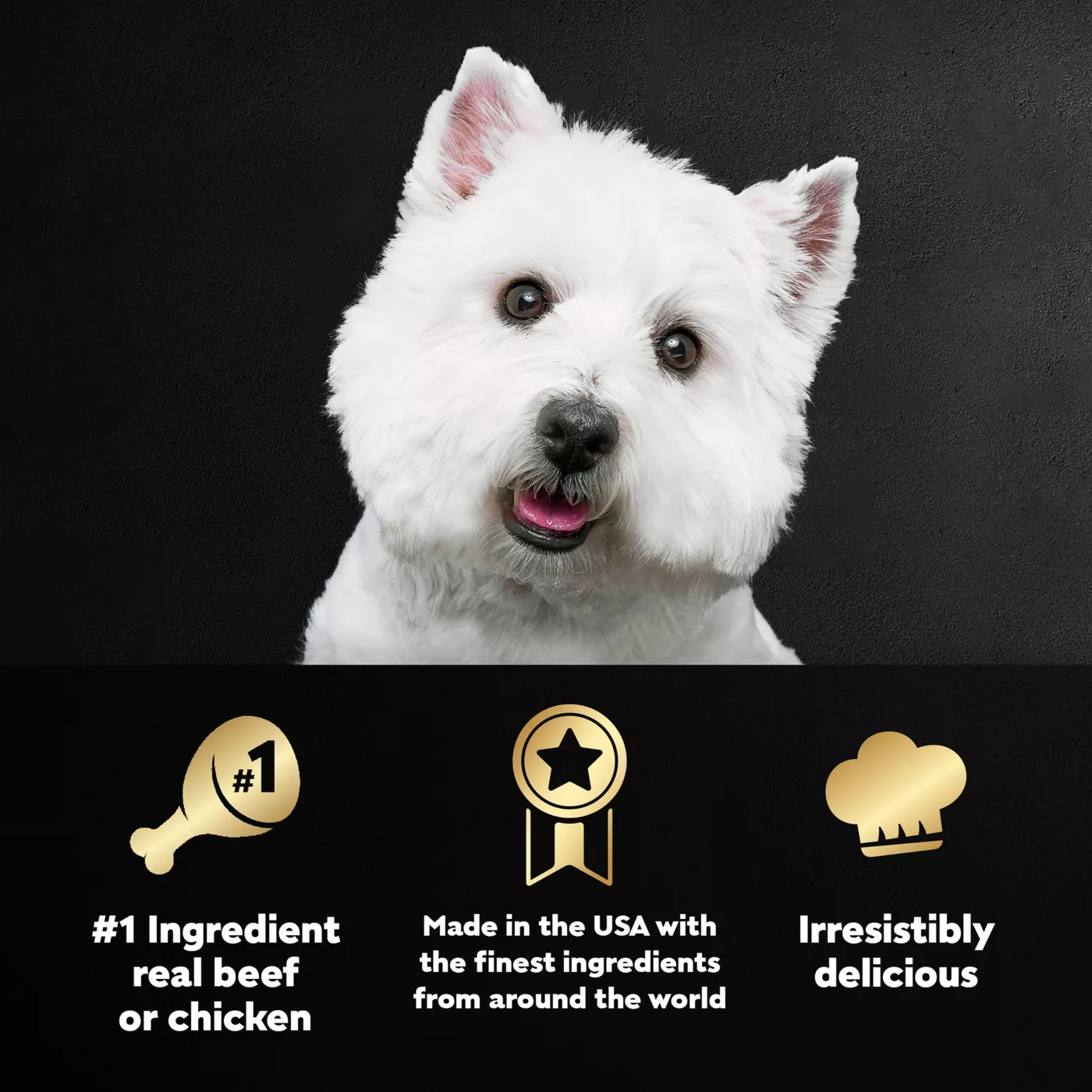 Caesar fashion dog food breed