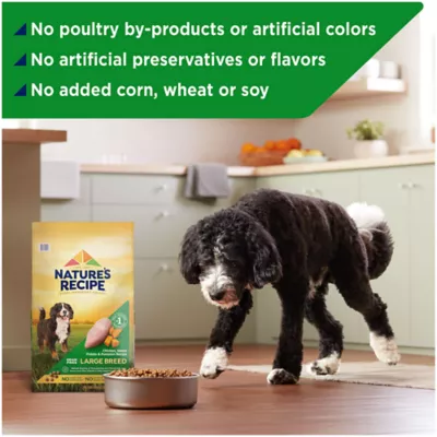 Product Nature's Recipe Dry Dog Food Adult - Chicken, Sweet Potato, Pumpkin