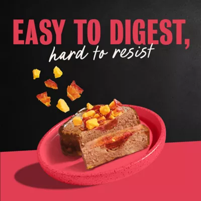 Cesar® Classics Adult Wet Dog Food - Loaf, 3.5 Oz. - Image 9