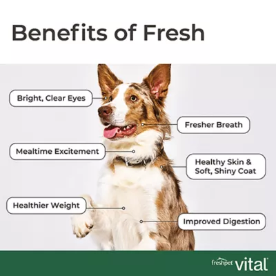 Product Freshpet® Vital™ Grain Free Complete Meals Chicken, Beef, Salmon & Egg Adult Dog Food
