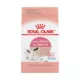 Product Royal Canin® Feline Health Nutrition Mother & Babycat Dry Cat Food