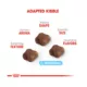 Product Royal Canin® Feline Health Nutrition Mother & Babycat Dry Cat Food