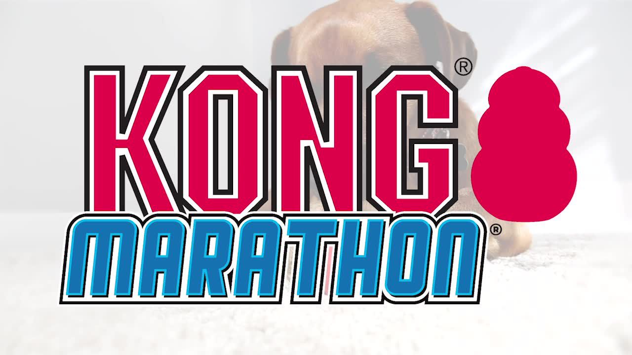 Kong marathon chew treat refill hotsell