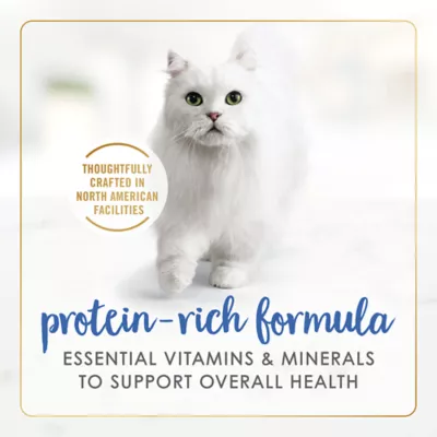 Product Fancy Feast® Gravy Lovers Wet Cat Food