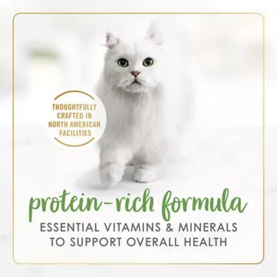 Product Fancy Feast® Gravy Lovers Wet Cat Food