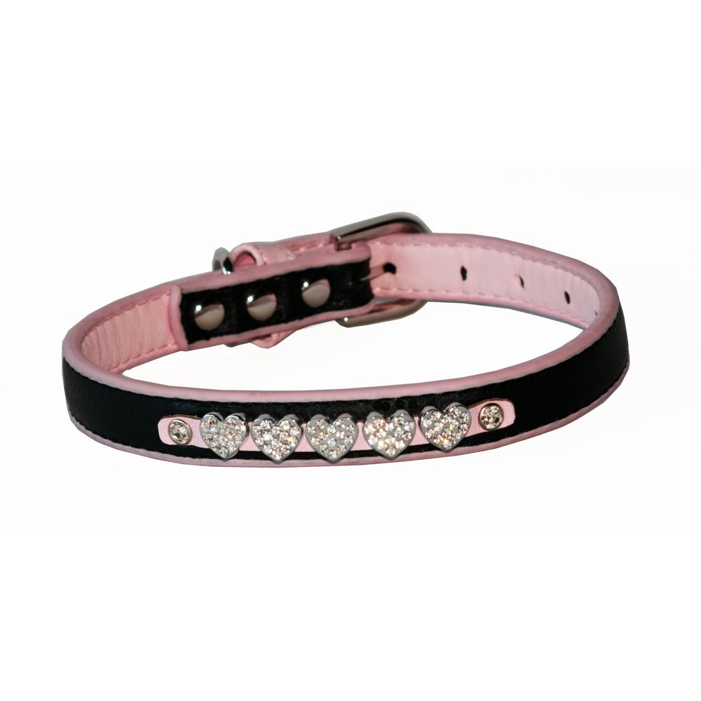 petsmart small dog collars