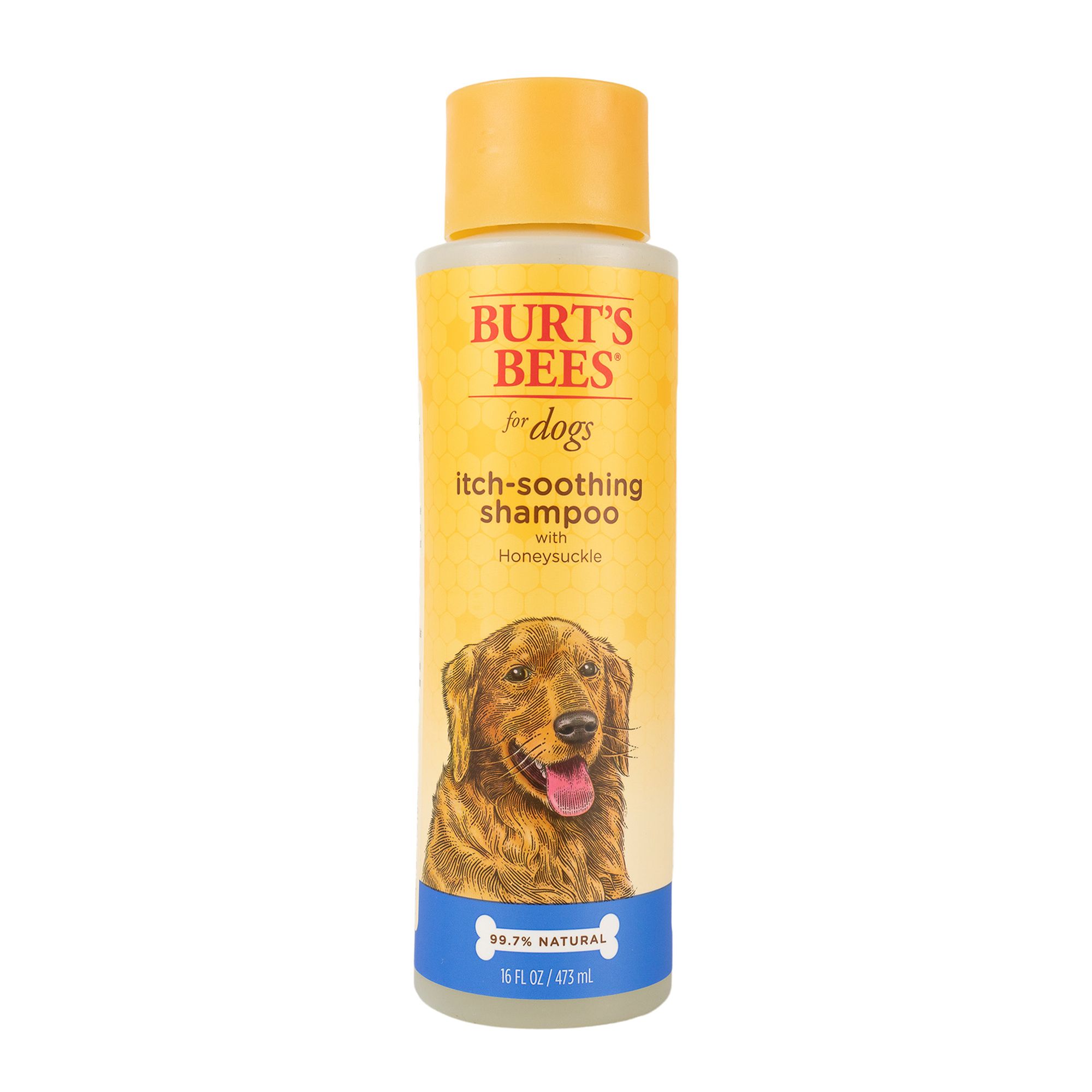 dog shampoo to stop itching