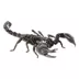 Asian Forest Scorpion image thumbnail 1