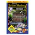 San Francisco Bay Brand® Sally's Frozen Spirulina Brine Shrimp™ Frozen Fish Food image thumbnail 1