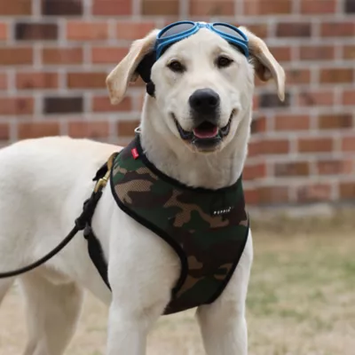 Puppia® Soft Adjustable Over-the-Head Mesh Dog Harness - Image 3