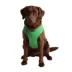 Puppia® Soft Adjustable Over-the-Head Mesh Dog Harness image thumbnail 3