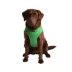 Puppia® Soft Adjustable Over-the-Head Mesh Dog Harness image thumbnail 3