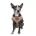 Puppia® Soft Adjustable Over-the-Head Mesh Dog Harness image thumbnail 3