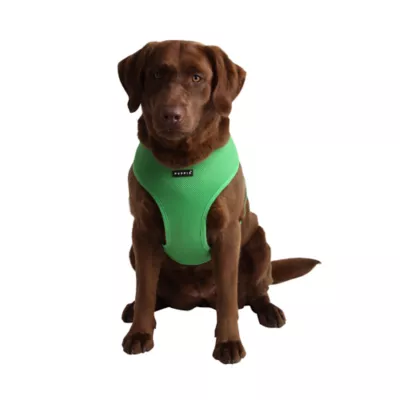 Puppia® Soft Adjustable Over-the-Head Mesh Dog Harness - Image 3