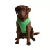 Puppia® Soft Adjustable Over-the-Head Mesh Dog Harness image thumbnail 3