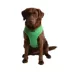Puppia® Soft Adjustable Over-the-Head Mesh Dog Harness image thumbnail 3