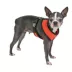 Puppia® Soft Adjustable Over-the-Head Mesh Dog Harness image thumbnail 3