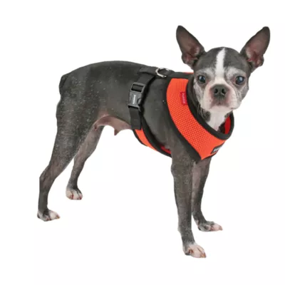 Puppia® Soft Adjustable Over-the-Head Mesh Dog Harness - Image 3