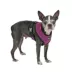 Puppia® Soft Adjustable Over-the-Head Mesh Dog Harness image thumbnail 3