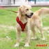 Puppia® Soft Adjustable Over-the-Head Mesh Dog Harness image thumbnail 3