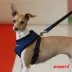 Puppia® Soft Adjustable Over-the-Head Mesh Dog Harness image thumbnail 3