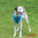 Product Puppia® Soft Adjustable Over-the-Head Mesh Dog Harness