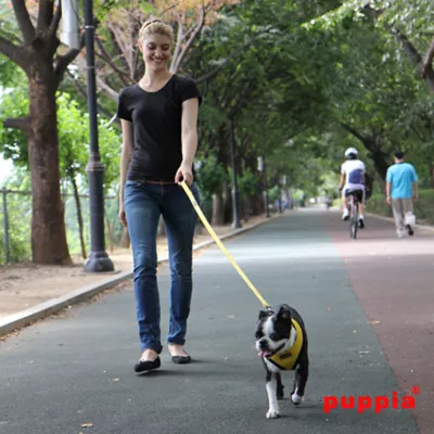 Puppia® Soft Adjustable Over-the-Head Mesh Dog Harness - Image 3