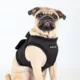 Product Puppia® Step-In Soft Vest Dog Harness