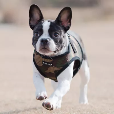 Puppia® Step-In Soft Vest Dog Harness - Image 4