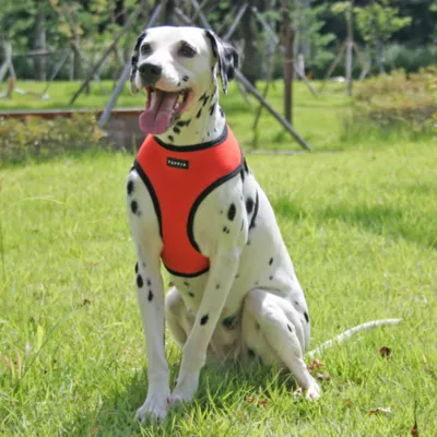 Puppia® Step-In Soft Vest Dog Harness - Image 4
