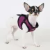 Puppia® Step-In Soft Vest Dog Harness image thumbnail 4