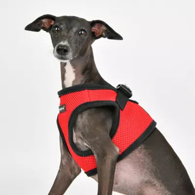 Product Puppia® Step-In Soft Vest Dog Harness